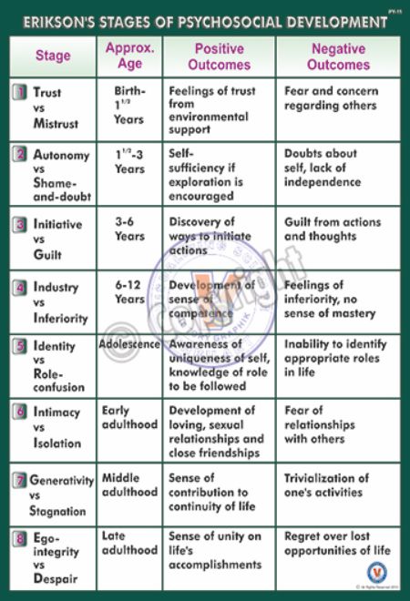 Erik Erikson Eight Stages Of Psychosocial Development Chart