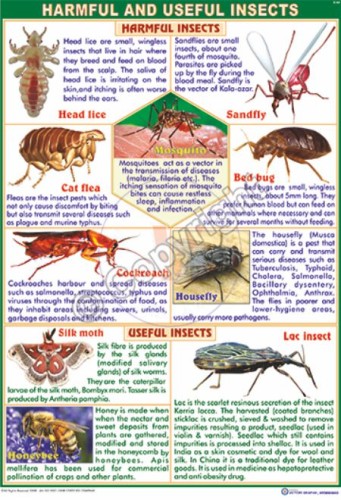 Z-63_Harmful & Useful Insects - CC