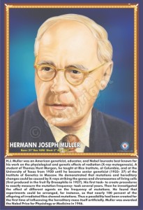 SP-160 HERMANN JOSEPH MULLER