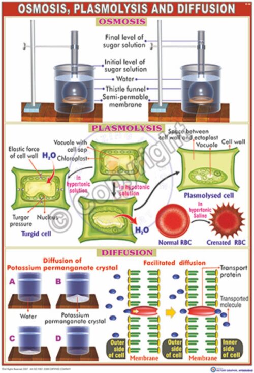 B-68_Osmosis N - CC
