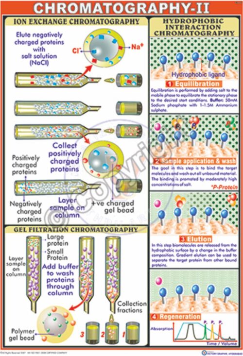 BC-10_chromatography ii -CC