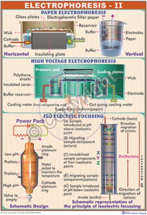 BC-14_Electrophotesis unit II - CC