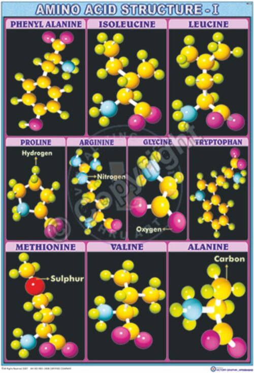 BC-3_A acids - CC