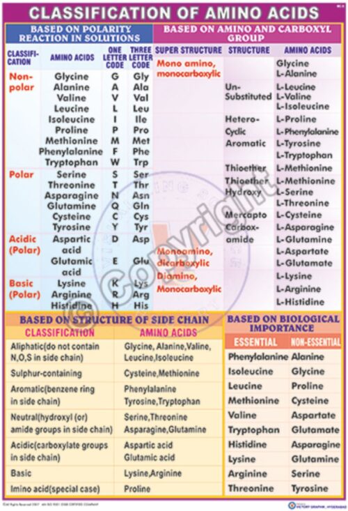 BC-5_C A Acids - CC