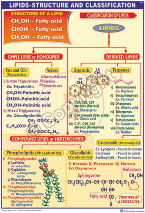 BC-7_Lipids-structure and classification - CC